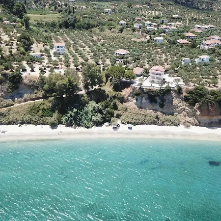 Eleonora *