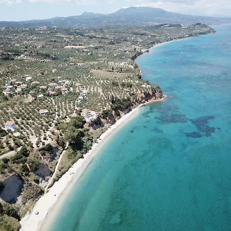 Eleonora *